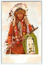 c1905 Chief Skin Cote Indian Traditional Dress Unposted Antique Glitter Postcard picture