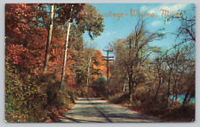 Postcard Autumn Road Scene Greetings Winona MINN picture
