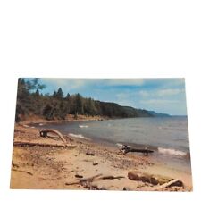 Postcard Driftwood On Beach Vacationland Scene Chrome Unposted picture
