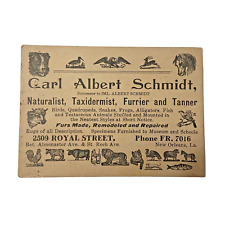 1927-1955 Trade Card Carl Albert Schmidt Taxidermist Furrier New Orleans LA picture