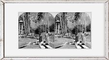 1902 Photo An old-time estate, Dominica, Island in Caribbean Sea 6 natives; 2 wo picture