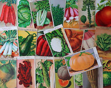 72 Vintage French VEGETABLE Seed Packet Labels lithograph printed in 1920s picture