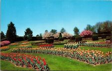 Hershey Pennsylvania Rose & Tulip Gardens Scenic Flowers Chrome Postcard picture