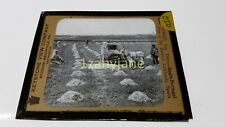 HISTORIC Magic Lantern GLASS Slide OID ONE OF THE EASTERN LOWLANDS SPAIN picture