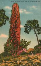Postcard FL Florida Flame Vine Pillar of Flame 1952 Linen Vintage PC G9573 picture