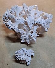 Natural Ocean Coral White picture