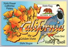 Postcard California Symbols State Flag Poppy The Golden State Valley Quail 6x4 picture