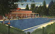 Fleischmanns New York NY Pinewood Swimming Pool Linen Vintage Postcard picture