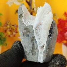 Stunning Natural Scolecite Geode Cluster & Quartz (134g) with Stand picture