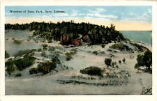 Dune Park, Gary, Indiana, Lake Michigan, geological wonders, diverse Postcard picture