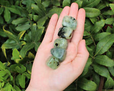 2 oz Prehnite with Epidote Tumble Stones (Crystal Healing Reiki)  picture