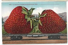 Exaggerated Strawberry postcard on Railcar picture