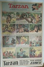 Tarzan Sunday Page #407 Burne Hogarth from 12/25/1938 Very Rare Full Page Size picture