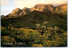 Postcard Desert Spring Storm Ajo Mountains Arizona USA North America picture
