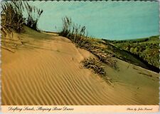 Drifting Sands Sleeping Bear Dunes Benzie County Michigan Postcard K244 picture