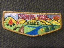 MINT OA Flap Lodge 65 Tecumseh GMY Border Charter Member picture