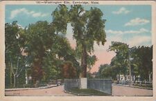 Washington Elm Cambridge Massachusetts Vintage Uposted Postcard picture