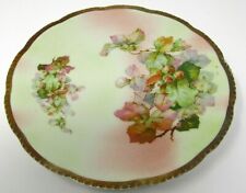 royal rudolstadt hand-painted porcelain plate w B-mark 8.5