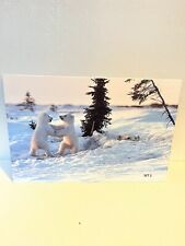 12 x 8 polar bear with cubs print on aluminum  picture