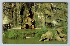 Orlando FL-Florida, Walt Disney World, Elephant Pool, Antique Vintage Postcard picture