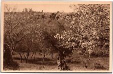 Postcard Italy Agrigento Temple of Hercules from blooming almond grove picture
