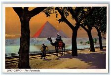 c1930's The Pyramids Egyptian Man Riding Camel Dirt Road Cairo Egypt Postcard picture