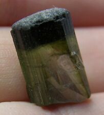 #11 10.70ct Brazil Terminated Green Tourmaline Crystal Stick Specimen 2.15g 16mm picture