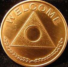 WELCOME  One Day At A Time Bronze Al-Anon AA OA GA Medallion Chip Coin token NAL picture