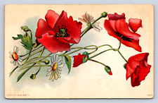 Vintage Postcard 1908 Greetings Floral  picture