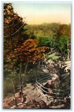 c1940's Glacial Kettles Dalles Of The St. Croix Taylor Falls Minnesota Postcard picture