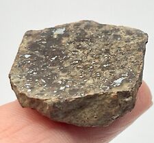GOLD BASIN 8.3g Polished Meteorite End Cut, L4 Chondrite, IMCA Sellers picture