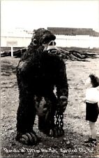  RPPC Postcard Gorilla Totem Park Crescent City CA California c.1940-1950  K-197 picture
