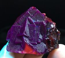 40g Miraculous flame fluorite Pakistan black Rose  Matrix  mineral specimen pA25 picture