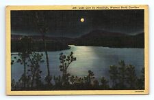 Lake Lure By Moonlight Full Moon Western North Carolina Vintage Postcard picture