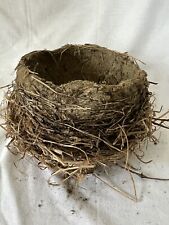 Real Abandoned mud & grass Birds Nest from WNY Taxidermy, Educational Craft picture