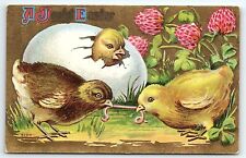 1910 JOYFUL EASTER BABY CHICKS FIGHTING FOR WORM HATCHING EGG POSTCARD P2495 picture