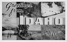 1948 Idaho ID Greetings From Larger Not Large Letter Chrome Postcard picture