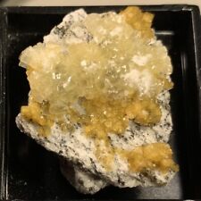 Stilbite & Chabazite Crystals Woodleaf Qry Rowan Co North Carolina USA picture