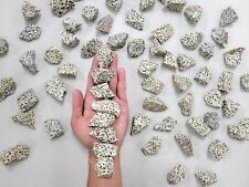 Rough Dalmatian Jasper Crystal Stones Mexico Bulk Rocks for Tumbling Lapidary picture
