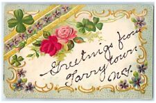 1907 Greetings From Tarrytown New York NY Flowers Shamrock Glitter Postcard picture