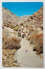 Anza Borrego Desert State Park California Vintage Postcard picture