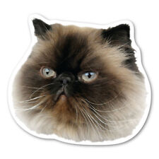 Himalayan Cat Magnet picture