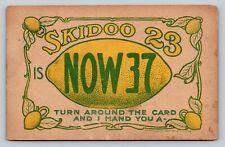 1907 Skidoo 23 with Visual Trickery LEMON ANTIQUE Humor Comic Postcard picture