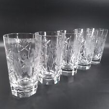 5 Nachtmann Traube Crystal Highball Glasses Tumblers Frost Leaves Grapes picture