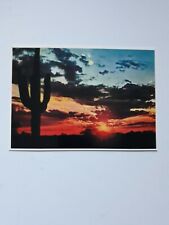 Postcard The Setting Sun Silhouettes A Sentinel Like Saugaro Cactus Western 307 picture