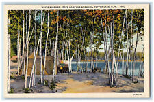 c1940's White Birches, State Camping Grounds, Tupper Lake NY Postcard picture