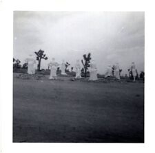 Desert Christ Park Statues Near Joshua Tree Yucca Valley California 1950s Photo picture