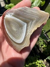 Lake Superior Agate 4.2oz Water level Peeler Red Husk Beautiful Banding picture