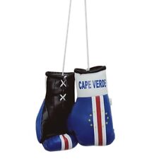 Cape Verde Boxing Glove / Cape Verde Flag / Mini Cape Verde Boxing Glove  picture