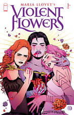 Pre-Order VIOLENT FLOWERS #1 COVER A MARIA LLOVET VF/NM IMAGE HOHC 2024 picture